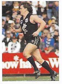 1991 Select AFL Stickers #57 Fraser Murphy Front